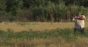 Imagen de archivo de un cazador en un coto del término de Baena. Foto: TV Baena.