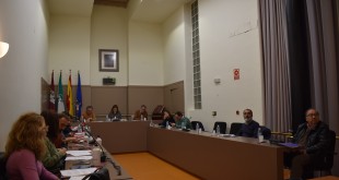 Un momento del Pleno Ordinario de la Corporación Municipal celebrado ayer. Foto: TV Baena.